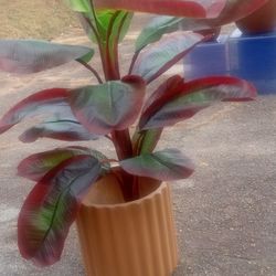 New Artificial Silk  Tree Looks Real High Quality Masterpiece 40 Each Or 75 For The Set