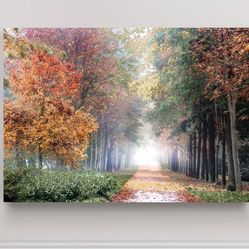 Beautiful Canvas 