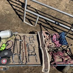 Horse Tack