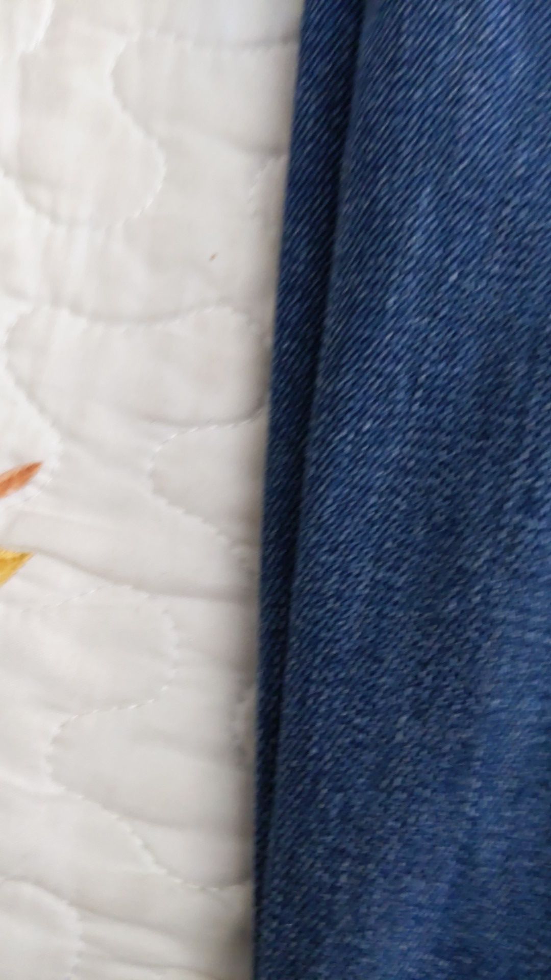 Levis