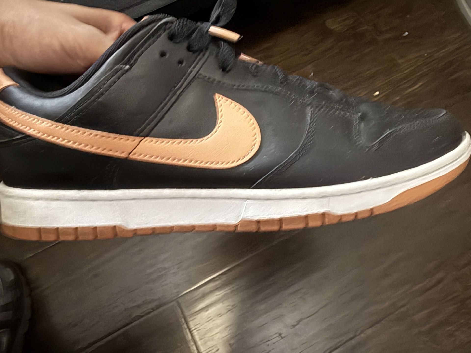 Size 11 Nike Dunks