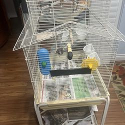 Bird cage