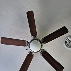Ceiling Fan