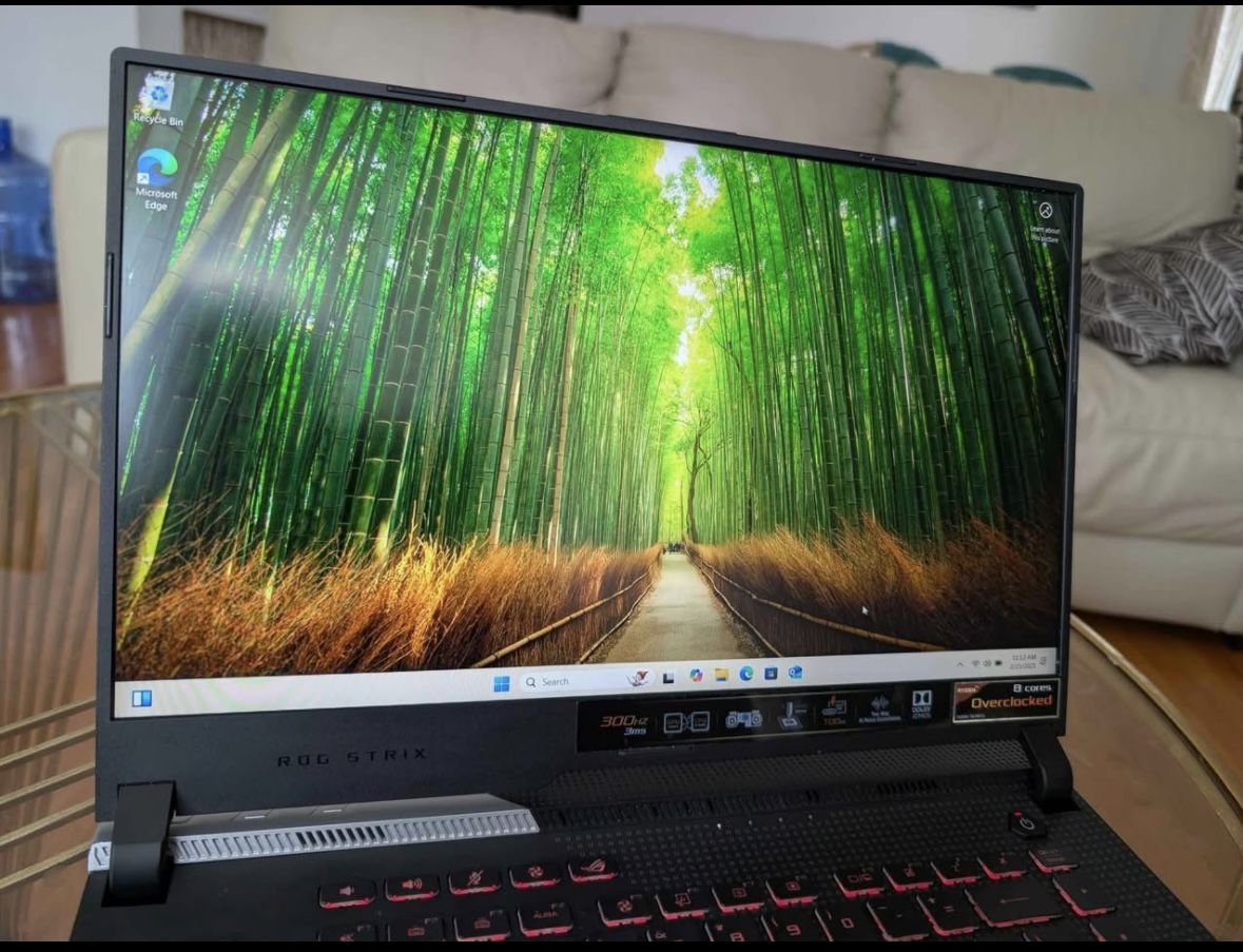 Asus ROG Strix G15 Advantage Edition G513QY Gaming Laptop