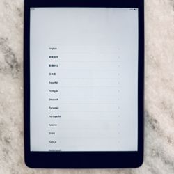 iPad Mini 2 16GB