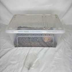 Terrarium Enclosure Plastic