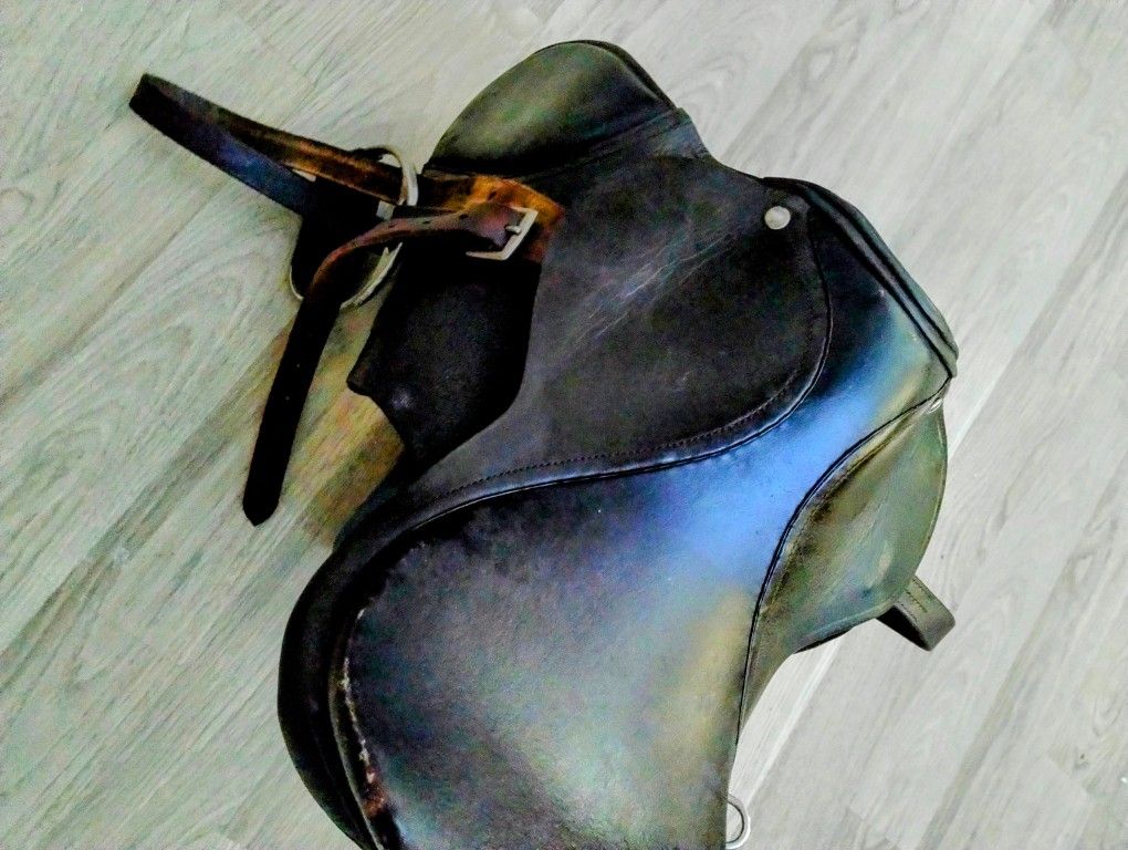 English Jumping Saddle 