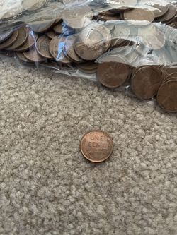 243 Wheat Pennies