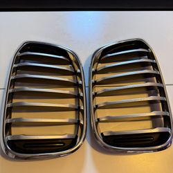 2021 BMW Official Grill