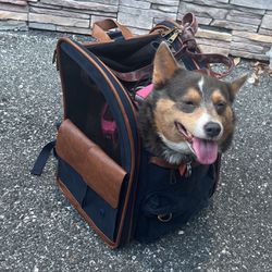 PetSmart Topdawg Carrier Backpack 