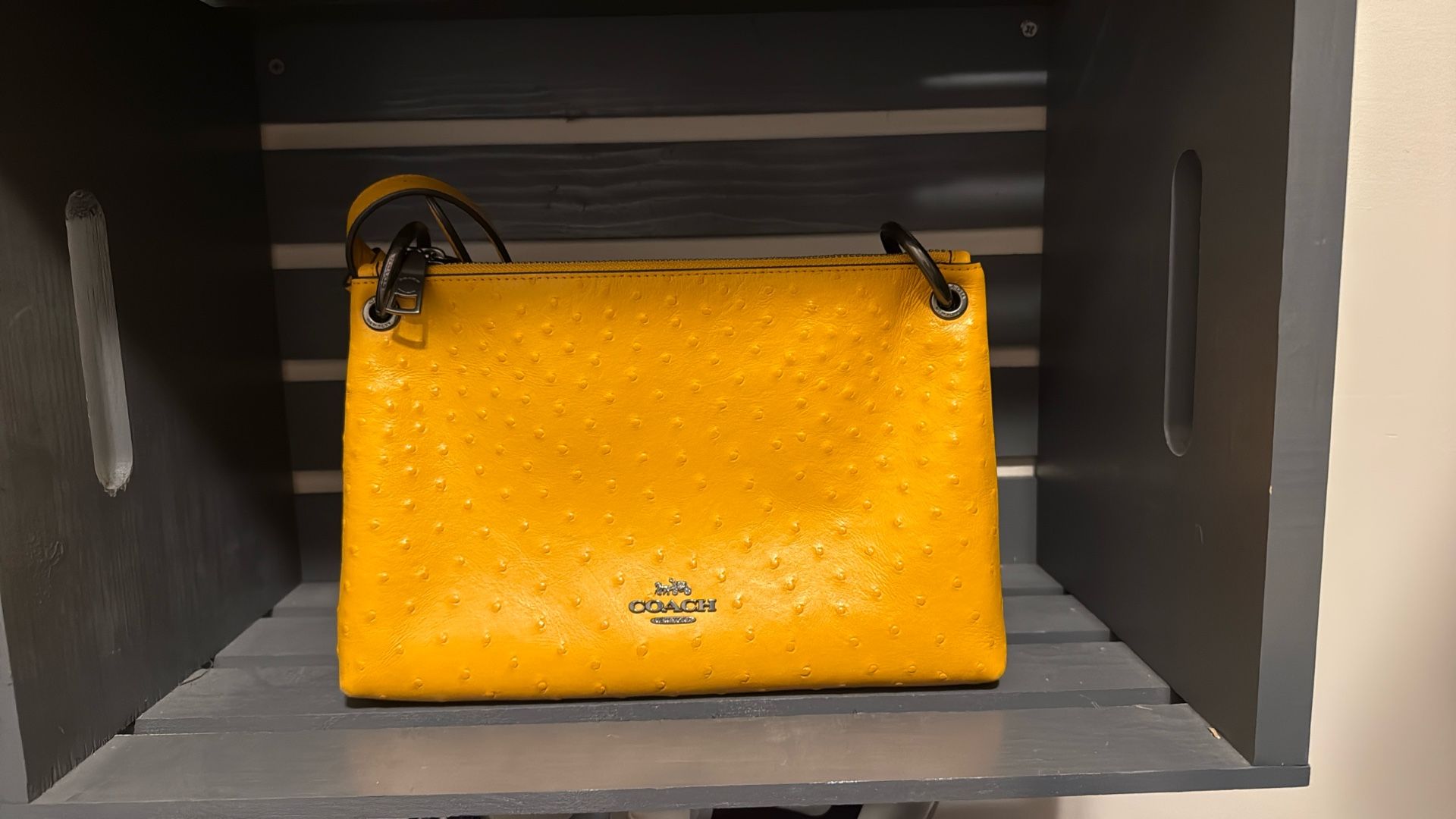 Coach crossbody