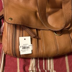 New Leather Fossil Leather Puts Came From Macys 