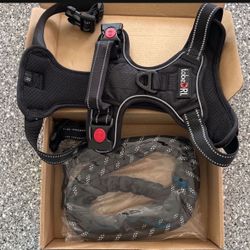 Dog Harness And Leach 