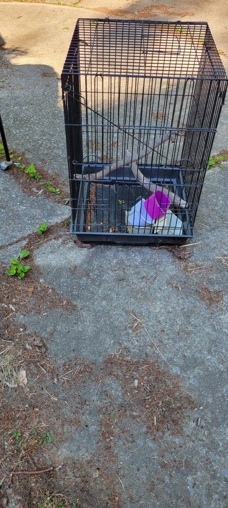 Bird Cage