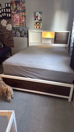 Bed frame from bobs