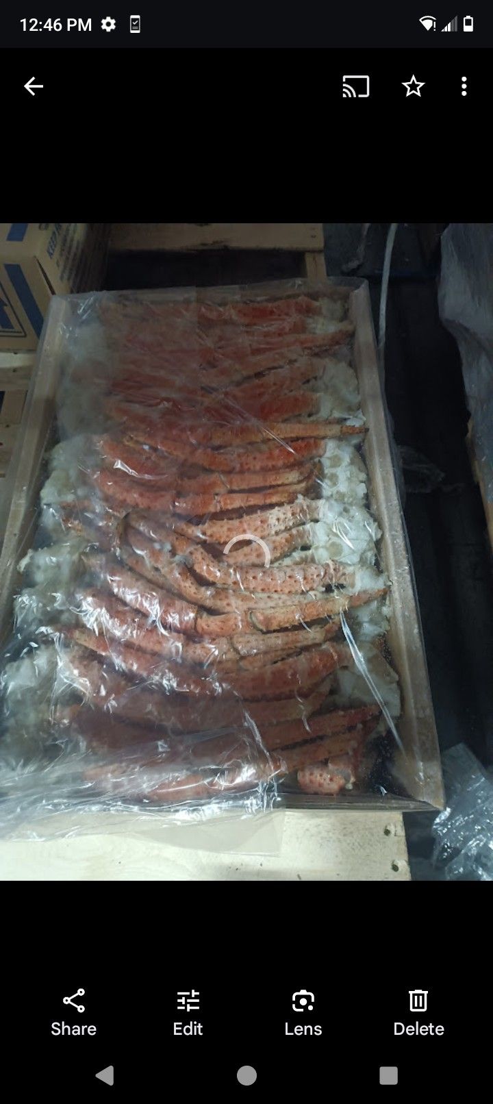 Fresh Raw Snow Crabs