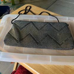 New Outgoing Night Mini Purse $3.00 