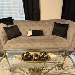 Velvet Silver/Grey Couch With Matching Chair