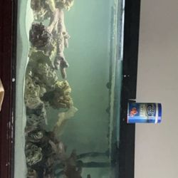 125 Gallon Aquarium