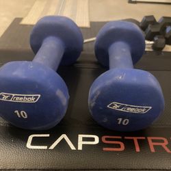 Two 10pound Dumbbells 