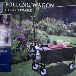 Folding Wagon 