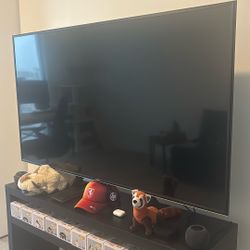Vizio TV