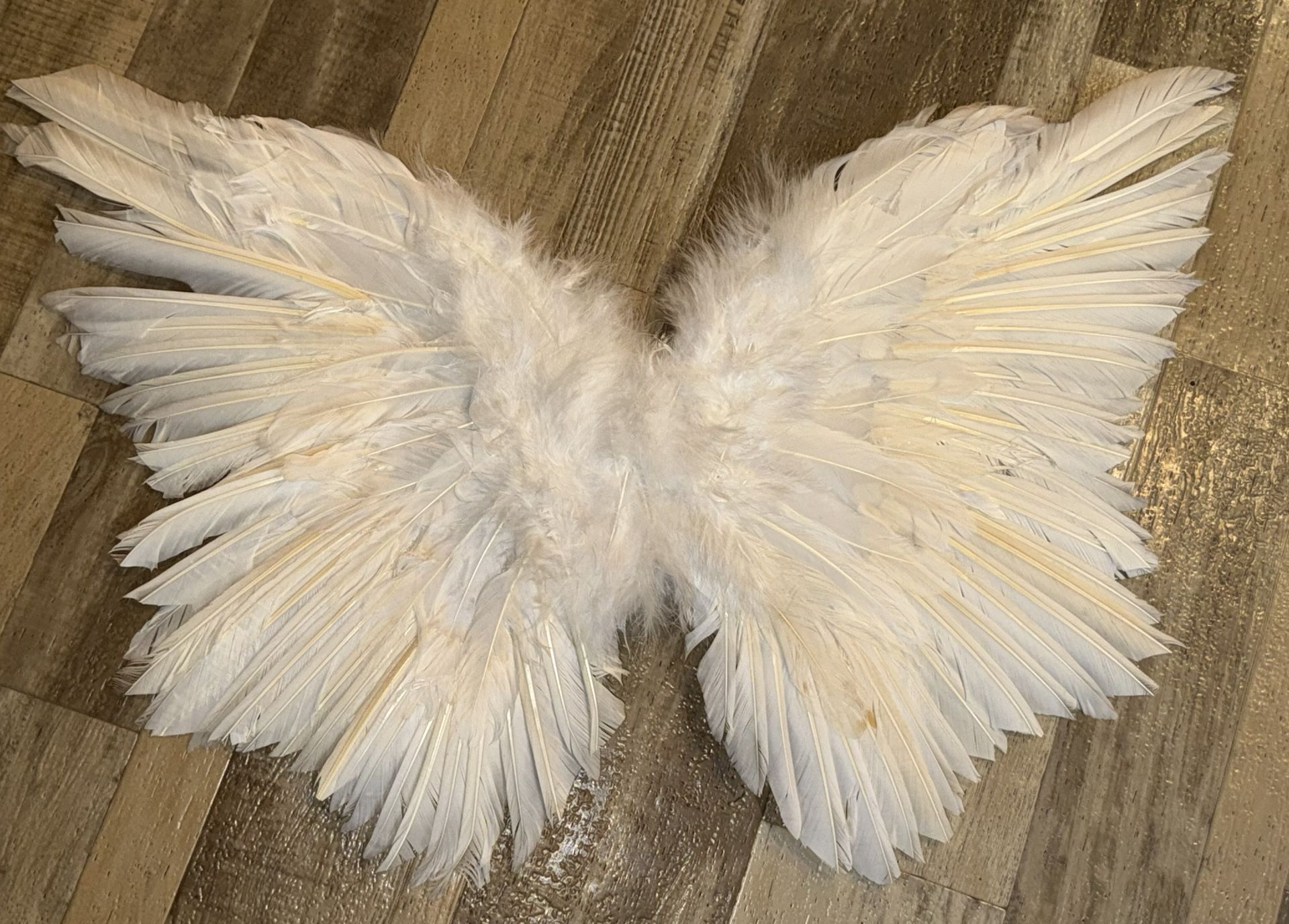 Angel Wings Costume