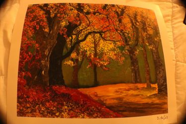 David Najar "Nature Sanctuary" (Signed, Unframed) with Certificate of Authenticity $350