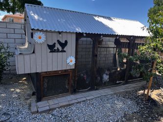Custom made chicken coops!