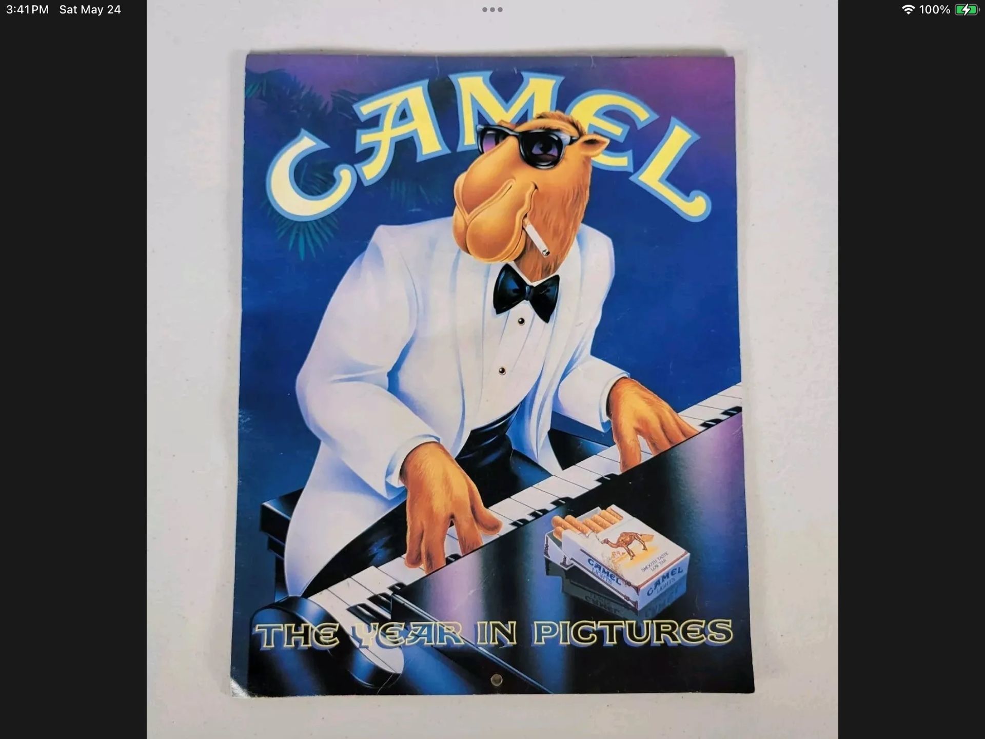 Vintage Camel Poster (mint Condition)
