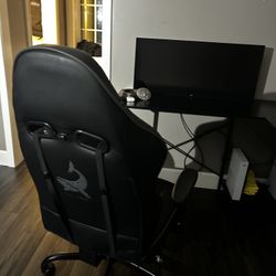 Gaming Chair Whale Good Conditions No Tears