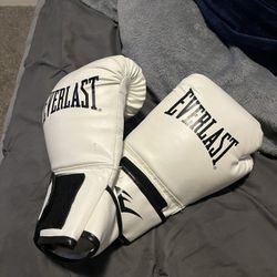 L/XL Boxing Gloves EVERLAST BRAND