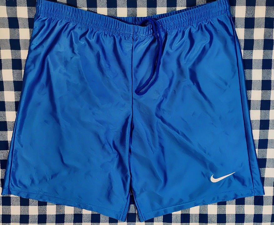 Vintage Nike Men’s Small Blue Athletic Shorts