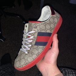 Gucci ace