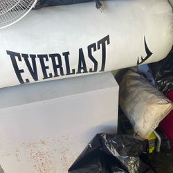 Everlast Punching Bag 