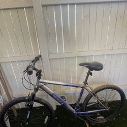 2.6 Terra Bike Silver And Blue