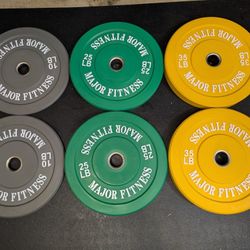Bumper Plates - Brand New