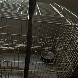 Bird Cage 