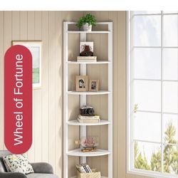 Shelf