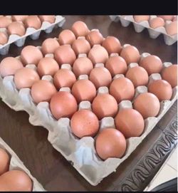 30 fresh eggs