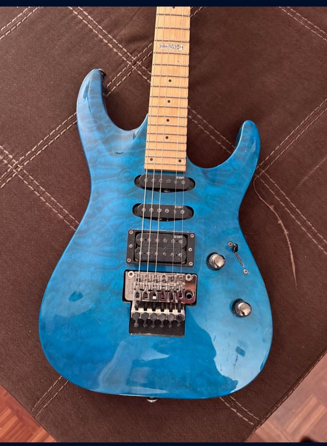 Electric Guitar