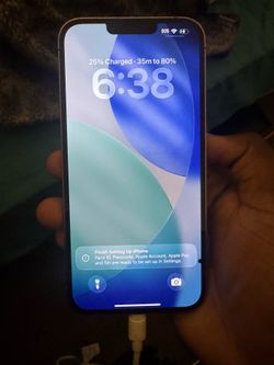 iPhone 13 Pro Max ( BackGlass Damage