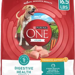 Purina ONE Plus, Digestive Health Chicken, 16.5 lbs, Dry Dog Food, BB: 3-2026