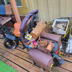 Electric scooter ✨️