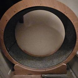 Cat Wheel