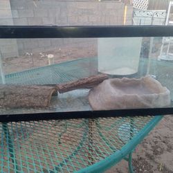 Reptile terrarium