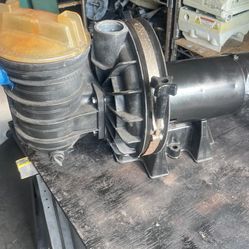 Pool Pump 1.0 HP Sta-ri-te