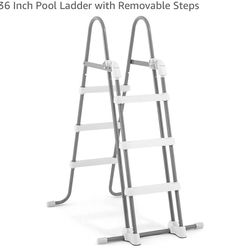 Pool Ladder