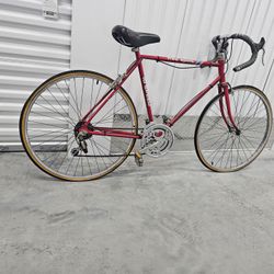 Vintage Free Spirit Road Bike