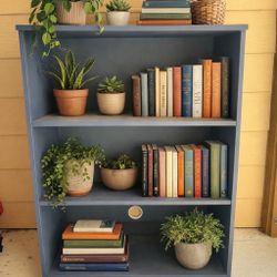 Blue bookshelf
